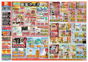 平島店チラシ（08月20日(水)～08月25日(月)）