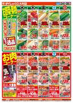 大村店チラシ（06月24日(水)～06月28日(日)）