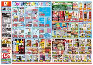 大口店チラシ（06月03日(水)～06月08日(月)）