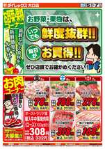 大口店チラシ（06月05日(金)～06月07日(日)）