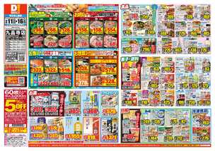 九品寺店チラシ（06月11日(水)～06月16日(月)）