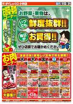 小林店チラシ（11月05日(水)～11月09日(日)）