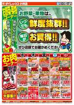 小林店チラシ（05月13日(水)～05月17日(日)）