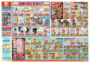 南国店チラシ（09月17日(水)～09月22日(月)）