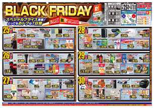 南国店チラシ（11月25日(火)～12月01日(月)）