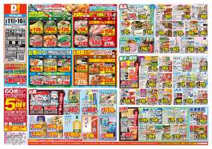 サピア日南店チラシ（06月11日(水)～06月16日(月)）