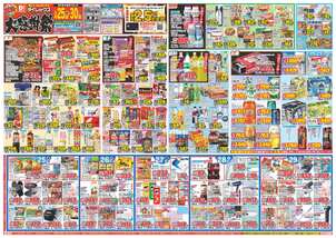 サピア日南店チラシ（03月25日(水)～03月30日(月)）