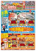 サピア日南店チラシ（04月10日(金)～04月12日(日)）