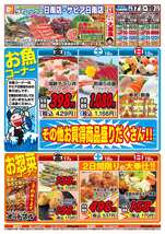 サピア日南店チラシ(07月17日(金)~07月19日(日)) サピア日南店チラシ(07月17日(金)~07月19日(日))