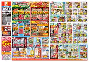日田中央店チラシ（06月11日(水)～06月16日(月)）