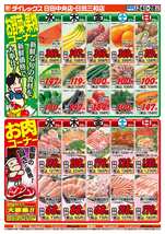 日田中央店チラシ（06月24日(水)～06月28日(日)）