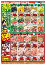 日田中央店チラシ（08月19日(水)～08月23日(日)）