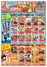 中津中殿店チラシ（03月25日(水)～03月29日(日)）