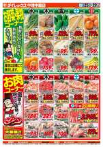 中津中殿店チラシ（03月25日(水)～03月29日(日)）
