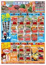 中津中殿店チラシ（06月24日(水)～06月28日(日)）