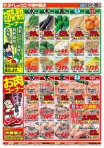 中津中殿店チラシ（06月24日(水)～06月28日(日)）
