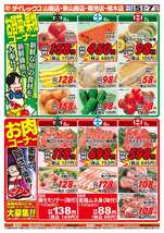 植木店チラシ（06月05日(金)～06月07日(日)）