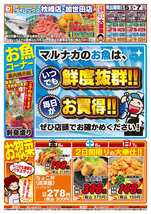 加世田店チラシ（12月05日(金)～12月07日(日)）