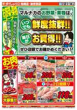 加世田店チラシ（12月12日(金)～12月14日(日)）