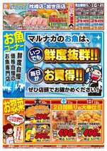 加世田店チラシ（04月10日(金)～04月12日(日)）