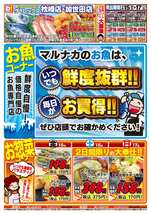 加世田店チラシ（05月15日(金)～05月17日(日)）