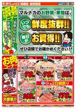 加世田店チラシ(10月23日(金)~10月25日(日)) 加世田店チラシ(10月23日(金)~10月25日(日))