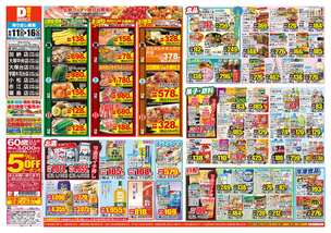 加納店チラシ（06月11日(水)～06月16日(月)）