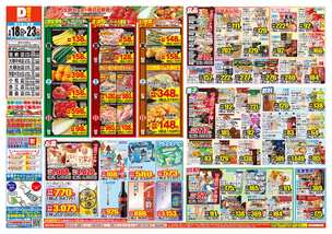 加納店チラシ（02月18日(水)～02月23日(月)）