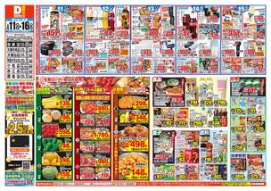 加納店チラシ（03月11日(水)～03月16日(月)）