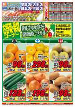 大王店チラシ(10月23日(金)~10月25日(日)) 大王店チラシ(10月23日(金)~10月25日(日))