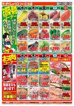 ついたち店チラシ（06月25日(水)～06月29日(日)）