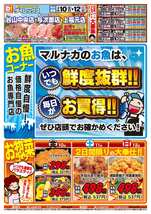 谷山中央店チラシ（04月10日(金)～04月12日(日)）