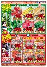 中間店チラシ（04月10日(金)～04月12日(日)）