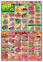 海士江店チラシ（04月08日(水)～04月12日(日)）