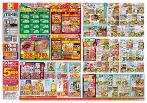 玉野荘内店チラシ（06月11日(水)～06月16日(月)）