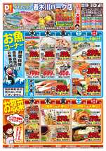 春木川パーク店チラシ（09月03日(水)～09月07日(日)）