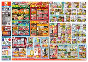田川池尻店チラシ（06月11日(水)～06月16日(月)）