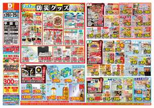 平田店チラシ（08月20日(水)～08月25日(月)）
