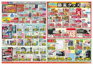 戸ケ崎店チラシ（08月25日(火)～08月31日(月)）