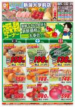 新潟大学前店チラシ（04月10日(金)～04月12日(日)）