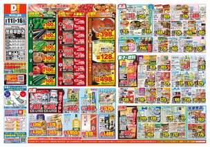 茂原早野店チラシ（06月11日(水)～06月16日(月)）