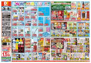 三条四日町店チラシ（06月03日(水)～06月08日(月)）